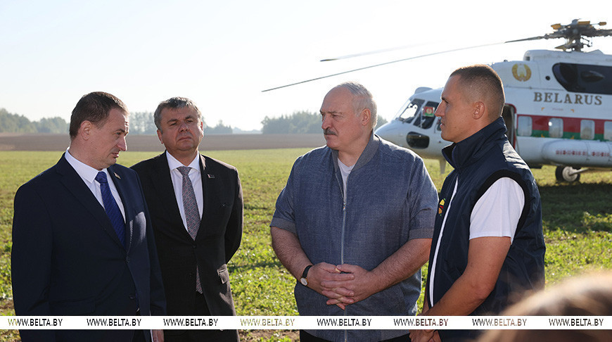 “Перестать кланяться импортному яблоку”. Лукашенко о задаче страны в плодоводстве